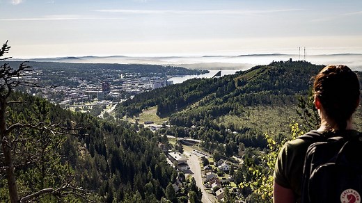 ANNONS: Allt fler flyttar till Norrlands mest expansiva industristad: "Stort rekryteringsbehov"