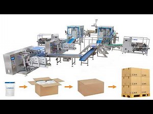 Automatic Bagging Cartoning Palletising Packaging System | Pouch Case Packing System