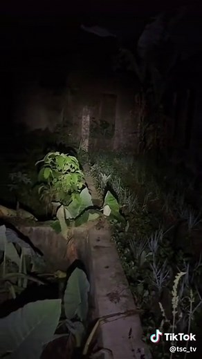 TSC_TV (@tsc_tv)’s videos with Terror - Sounds M