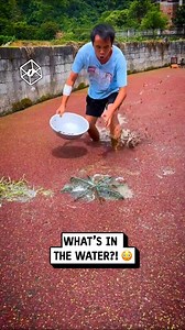 3.3M views · 6.1K reactions | DIY fish trap 勞 discover_chiina, predsedatelpravleniya #fishing #fish | UNILAD | Facebook