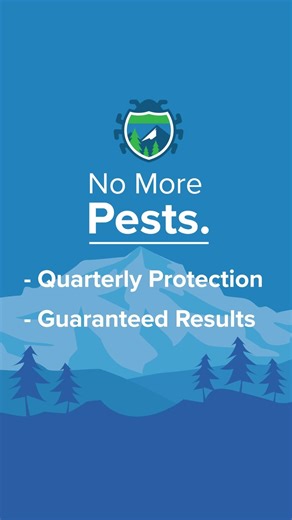 Save $260 - this month only!