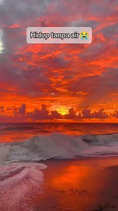 Ikan lungfish Afrika mampu bertahan hidup tanpa air selama berbulan-bulan, bahkan hingga beberapa tahun, dengan cara berhibernasi atau aestivasi dalam kondisi kering. Mereka melakukannya dengan menggali lubang di lumpur dan membentuk kepompong lendir untuk melindungi diri, sambil bernapas menggunakan paru-paru mereka. #faktaunik #faktadunia #viral #reels | Bang Rakun