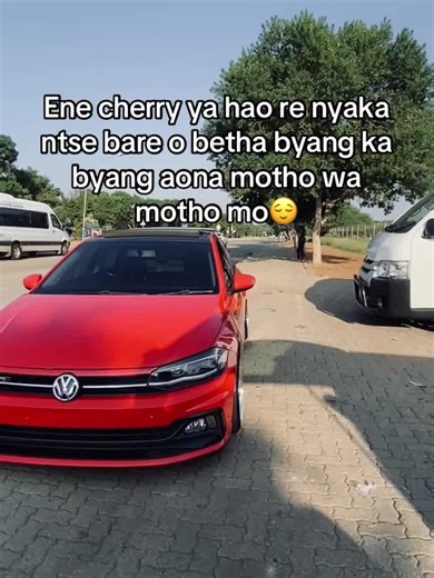 Discover the Best Polo Cars in Limpopo