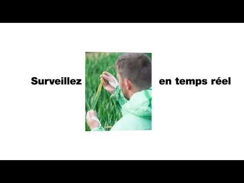 Info’risque : prévenir plutôt que guérir