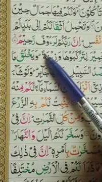Quran Pak #quranlearning #shorts #education