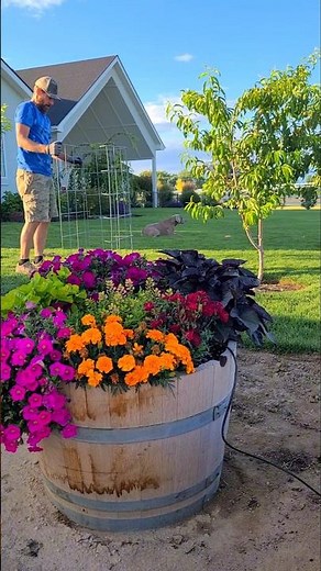 DIY Tomato Cage #diy #diygarden #howto #tomato #gardening #garden #tomatoplant