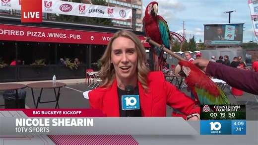 LET'S GO BUCKEYES!!!!! Adam King - WBNS 10TV is showing us the ENEMY has arrived 🏈... and Nicole Shearin 10TV is getting a gameday prediction from parrots. 🦜 #JustSayin Ohio State Football Texas Longhorns TEGNA Inc. | Angela An