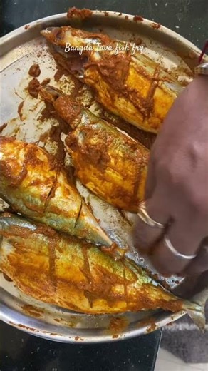 Bangda fish TAVA fry