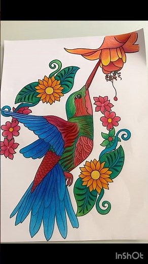 HummingBird Coloring Tutorial //Transforming A Hummingbird Outline into a Masterpiece//