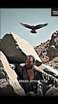 Animals Rescue Humans From Rock Collapse