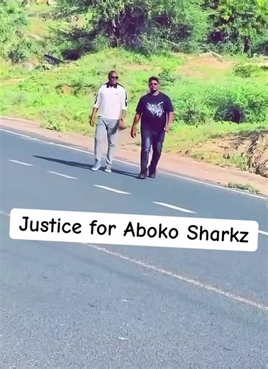 Shimbirta Yar🦜🕊️✨ (@somalinimo1431)’s video of shark video