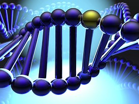 Family Medical History