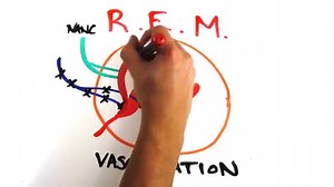 7 Scientific Reasons Men Wake Up With Morning Wood