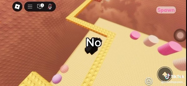 Understanding Objection in Debates