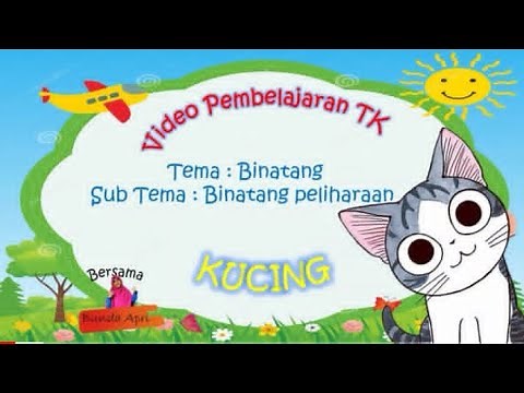 Tema Binatang Sub Tema binatang peliharaan "KUCING"