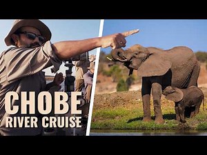 Chobe River Cruise – Botswana’s Elephant Kingdom (Wildlife Documentary)