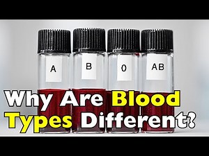 Why Do We Have Different Blood Types? The Science You Never Learned