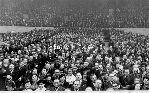 Entity 1 - “人类”