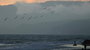 Here's what each tsunami alert level means