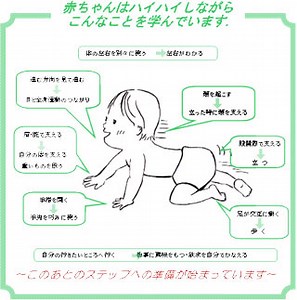 シェルハブ・メソッドとは - シェルハブ・メソッド松江-赤ちゃんの体と脳の発達のお手伝い-