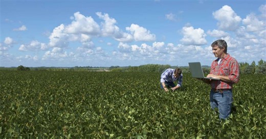 Fertilizante estratégico: por que o Brasil precisa da ureia do Irã