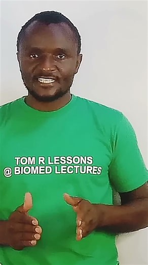 Saw Palmetto: Natural Remedy for Prostate Health!