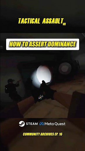 Expert SWAT Raid in VR
