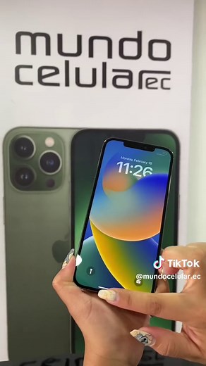 iPhone 12 Pro Max 256GB - Precio y Características