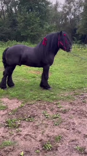 Explore Maramureș: Nature and Culture Awaits You