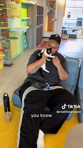 Cat Cafe Experience in Gardena, California