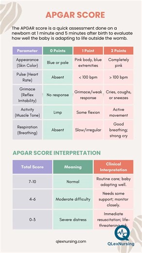 👶 Quick Guide to APGAR Scoring! A fast, reliable way to check how well a newborn is adjusting to life outside the womb — done at 1 and 5 minutes after birth. 📊 7–10 = Normal – Routine care 📊 4–6 = Moderate difficulty – Monitor closely 📊 0–3 = Severe distress – Emergency action needed #apgarscore #NursingSchool #pediatricnursing #nursingstudents #NurseLife #ClinicalSkills #FutureNurse #qlexnursing #NurseEducator #ExamPrep #MaternityNursing #studynursing #rn #lpn #atiteas #hesia2exam | QLexNur