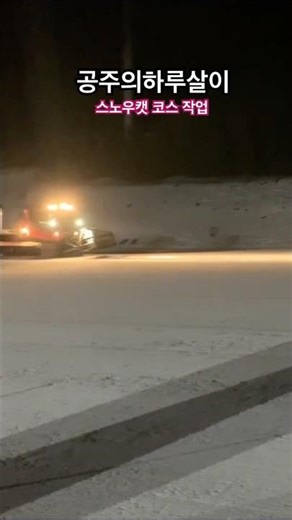 일상 브이로그 | 스노우캣 한 대와 사투를 벌이는 극한직업❄️(본영상go)