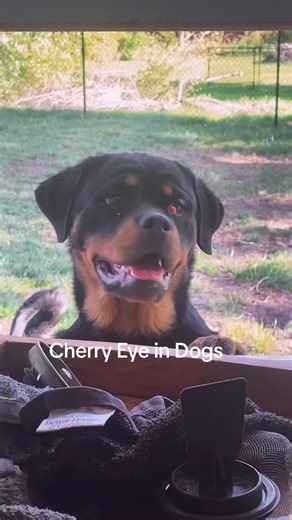 LifewithL&L on TikTok