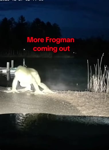 More Frogman Sightings Captured on Camera