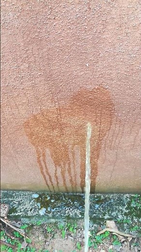 From Pee Boy to Natural Urination: The Surprising Journey | pee on a wall | pee boy | pee to nature