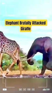 THE WATER WAR YOU WON'T BELIEVE! 😱 Elephant Brutally Attacks Giraffe at Waterhole! #wildlife