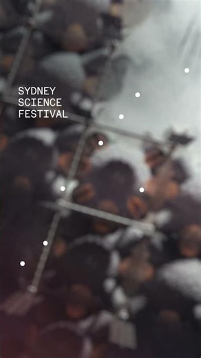 Lunar Horizons in Fortnite