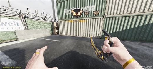 原来type 19也可以这么美丽吗😋