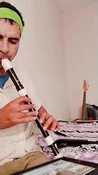 Wellerman - sea shanty - flauta cover