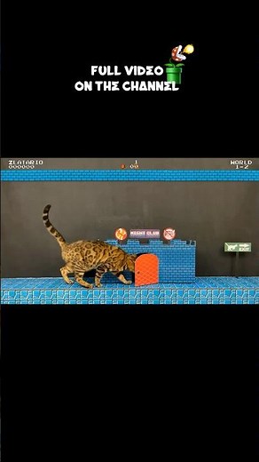 SUPER MARIO — CAT PLAYTHROUGH
