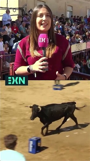 ♉ Capeas, the main event of the Huertas de Ánimas festivities.