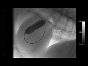 FLUOROSCOPY AND CARDIAC CATHETERISATION DOG