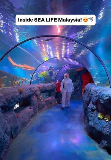 Discover SEA LIFE Malaysia: An Underwater Adventure