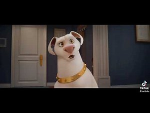 DC League of Super Pets (2022) Krypto Gets Mad At Superman (Clark Kent) ‪@CaseyAlhambra‬