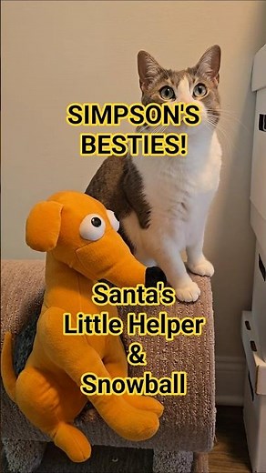 Santa's Little Helper and Snowball! #simpsons #thesimpsons #cats #dogs #cartoons #friends #90skids