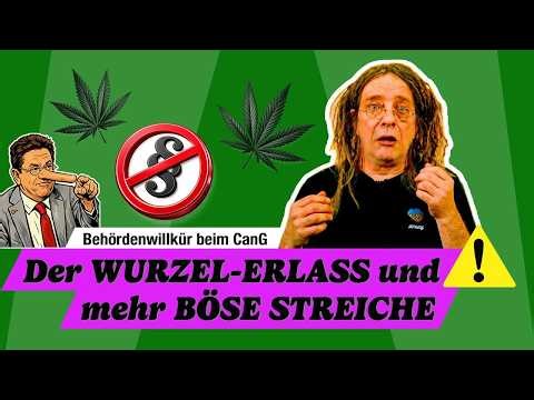 Kurz NACHGEFRAGT: Wie BEHÖRDEN & POLITIK das CanG beugen