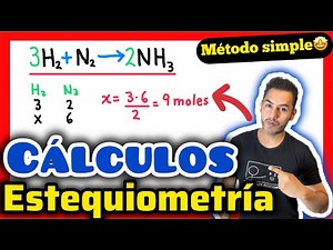 ✅Stoichiometry in Chemical Equations [Explained in Steps👍] Chemistry
