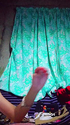 my puppets shroomie 🍄 icy 🥶 angel 😇