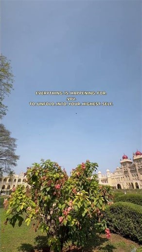 this is how the circle of life actually works #circleoflife