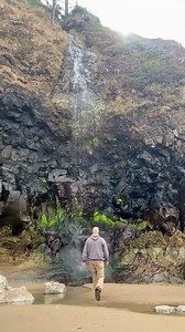 Cape Lookout State Park. #tillamookcoast #oregonexplored #hiking #beachlife #seacaves #sanddollar | Visit Tillamook Coast